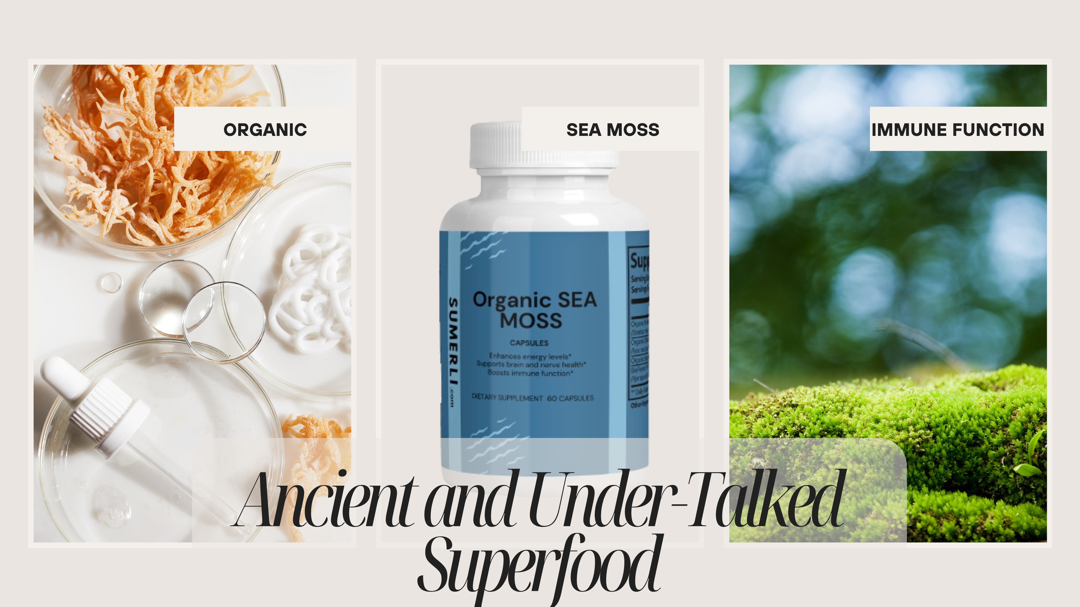 Ancient and Under-Talked Superfood: Meet Our Organic Sea Moss Supplements ⛵