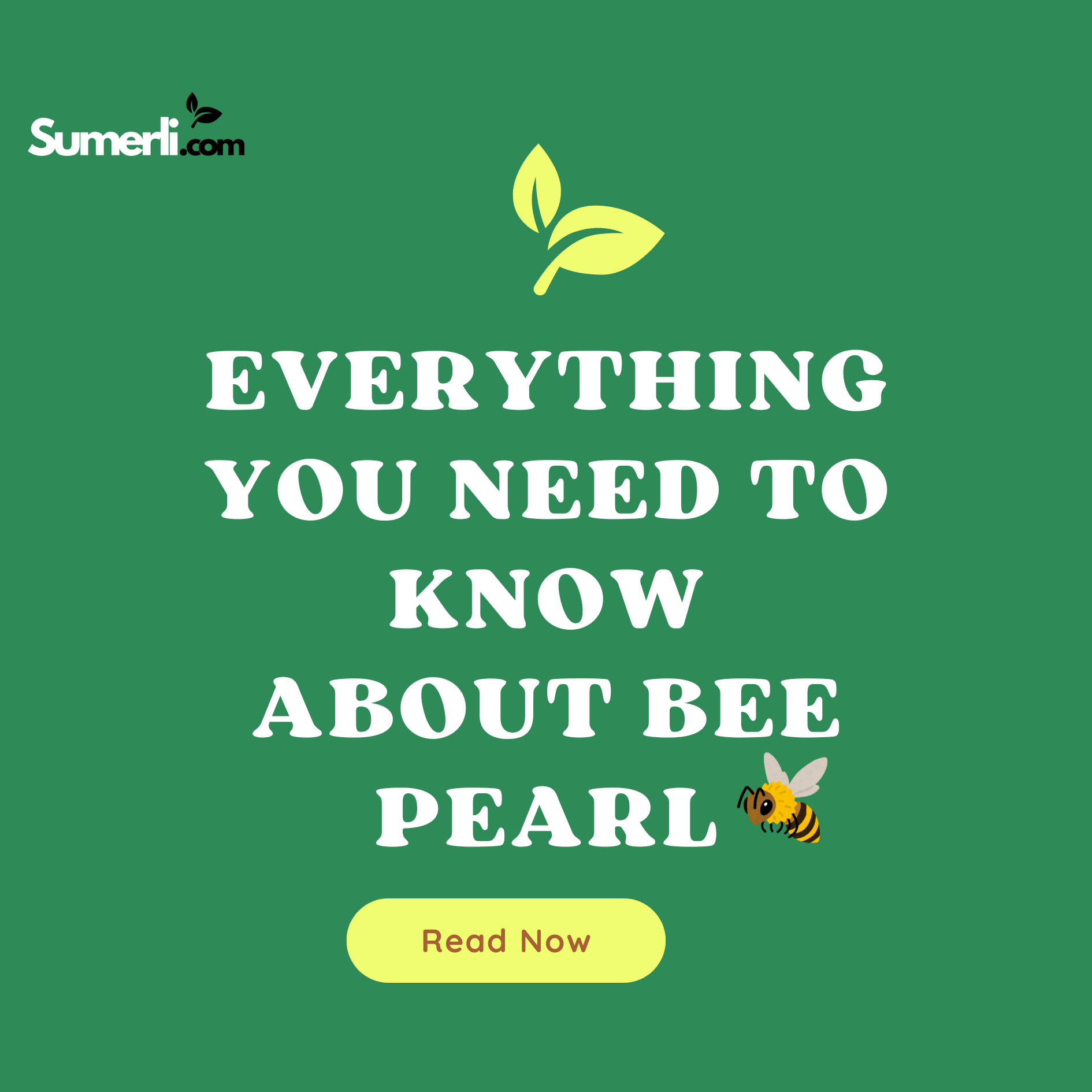 Everything You Need to Know About Bee Pearl