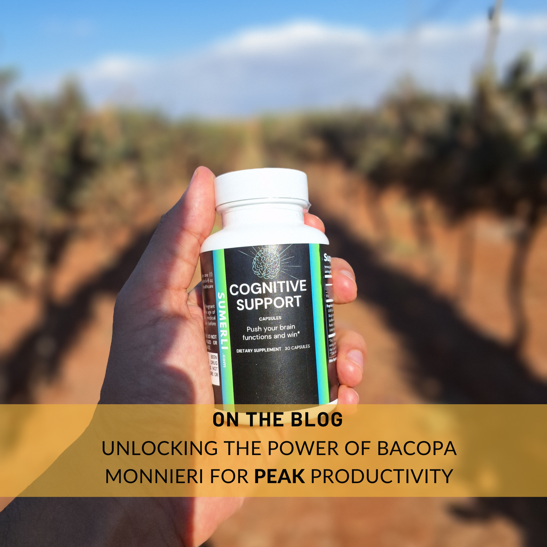 Unlocking the Power of Bacopa Monnieri for Peak Productivity