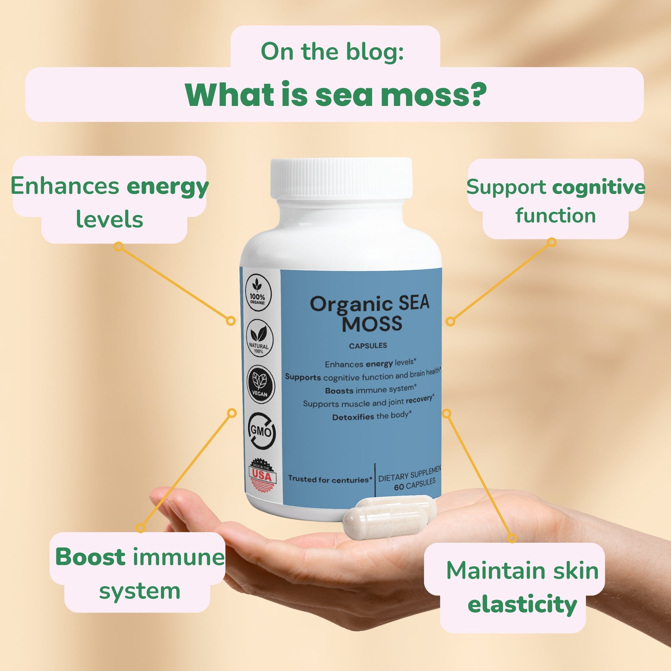 What is sea moss?